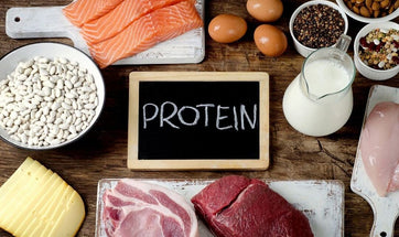 Why Your Dog Needs Protein? - Benefits & Best Sources Of Protein For Dogs