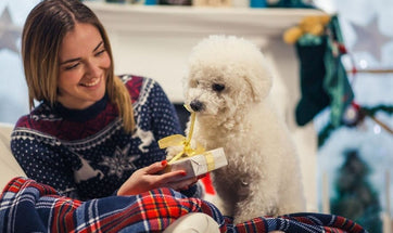 How To Celebrate A Pet-Friendly Christmas - Safety Tips For Pet Parents