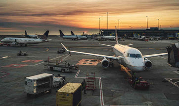 How to Travel With Your Dog Around India In A Flight or Train