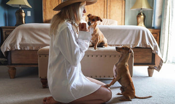 Teaching your Dog The Basic Commands