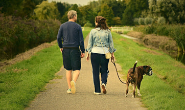 Walking You Dogs: Training Your Pup For Walks.