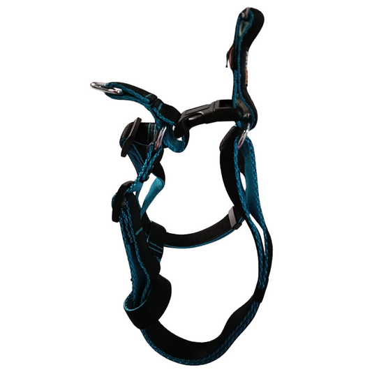 Pet's Pot Pet Walk Premium Step In Harness Black With Cyan