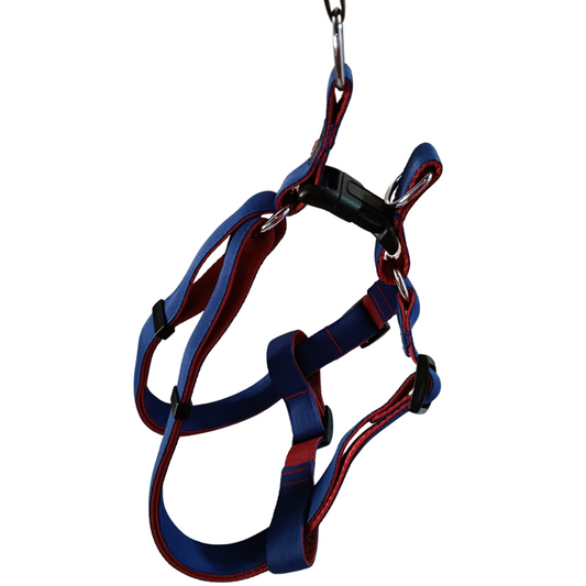 Pet's Pot Pet Walk Premium Step In Harness Blue with Red - Large