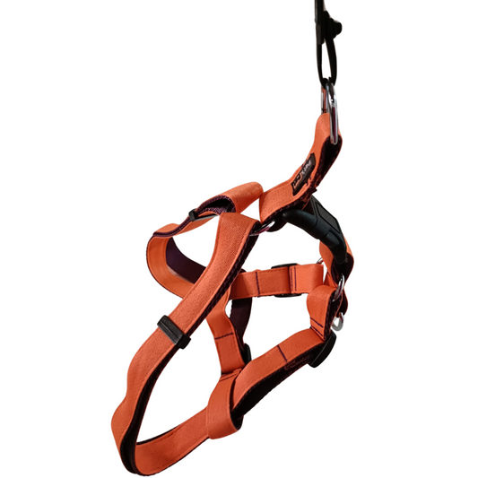 Pet's Pot Pet Walk Premium Step In Harness Orange With Plum - Large