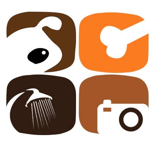 Cutz to Cuddlez Dog Salon & Spa Chennai