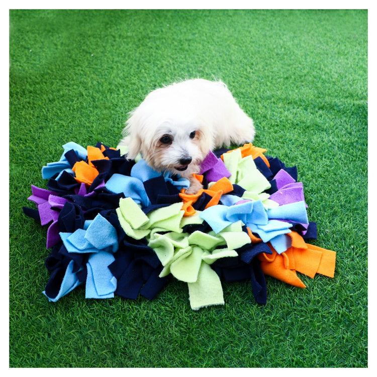 Dog Snuffle Puzzle Mat Toy + Feeding Mat 2in1 - Galaxy