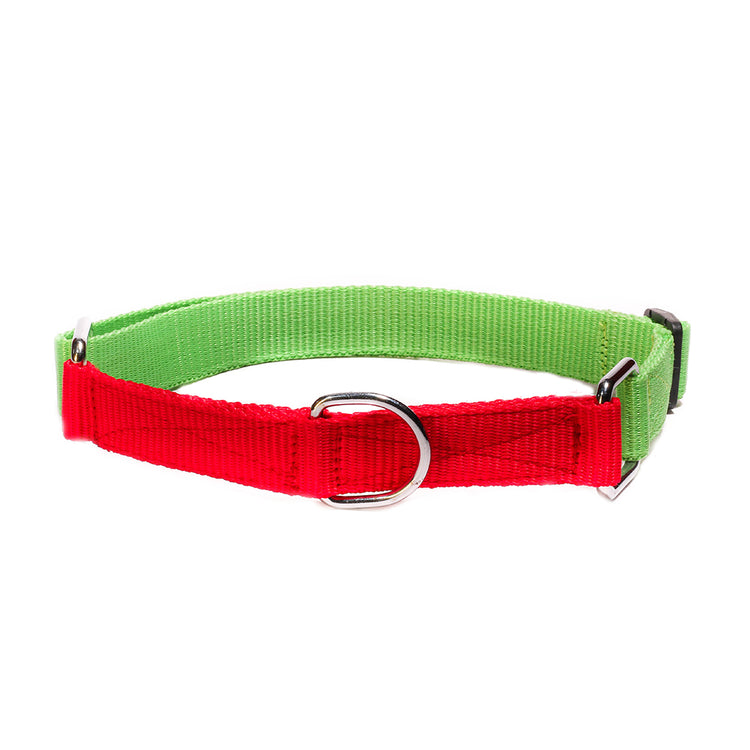 Poochles Poly Dual Shade Adjustable Dog Collar