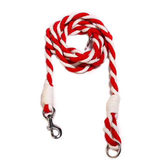 Poochles Dog Braided Dual Shade 10 Feet Body Leash