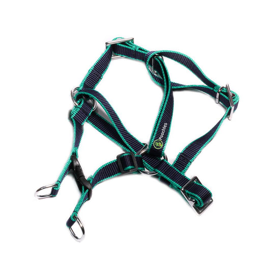Poochles Harness & Leash Combo Kit