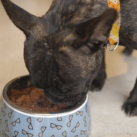 Poochles Houndfresh Dog Food