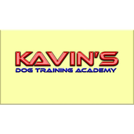 Kavin's Dog Training Academy Chennai