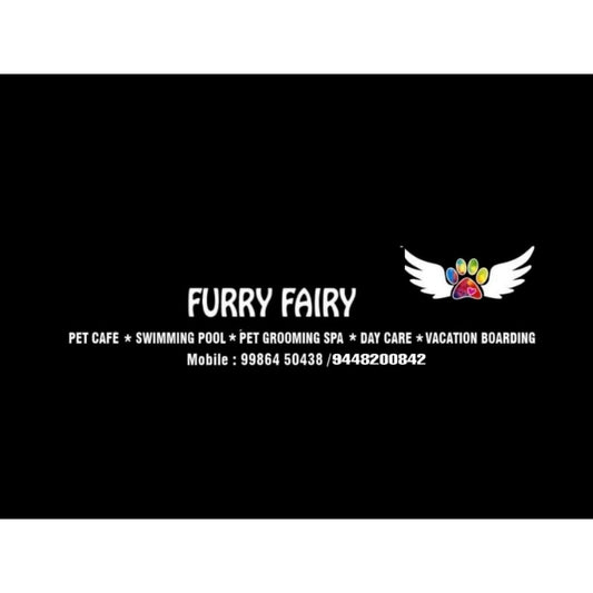 Furry Fairy Pet Grooming Spa Bangalore