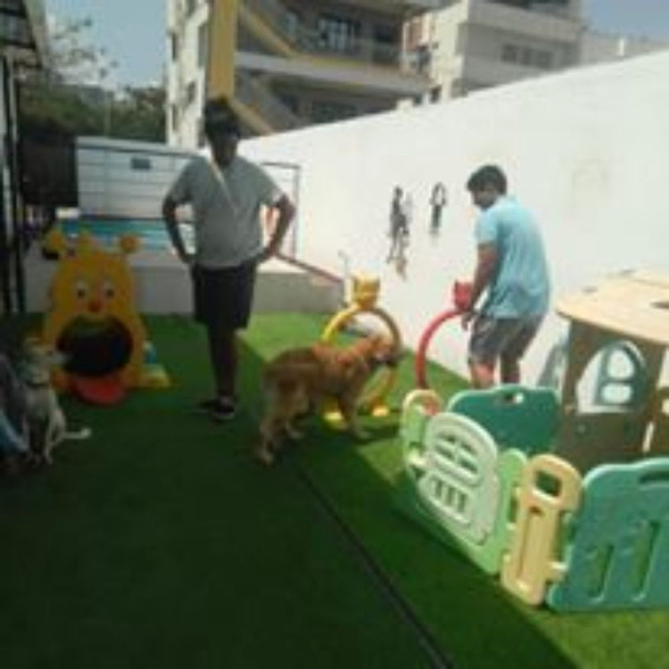 Furry Fairy Pet Grooming Spa Bangalore