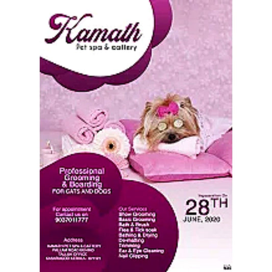 Kamath Pet Spa And Cattery Groomer Kerala
