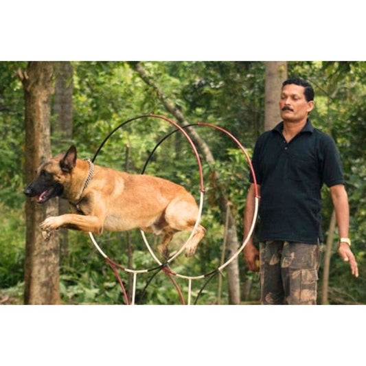 Suraksha K9 Academy Trainer Kerala