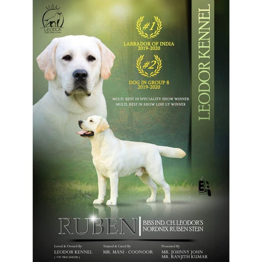 Leodor Kennel Breeder Chennai