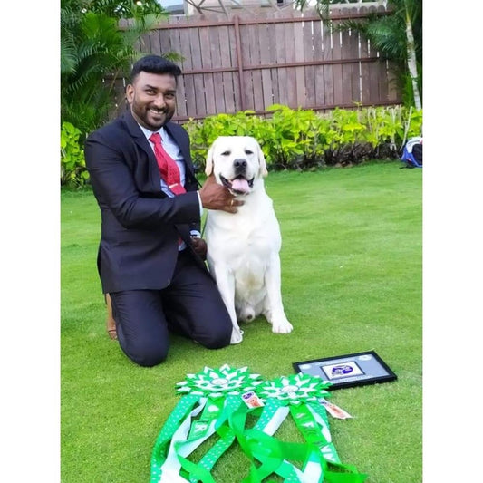 Leodor Kennel Breeder Chennai