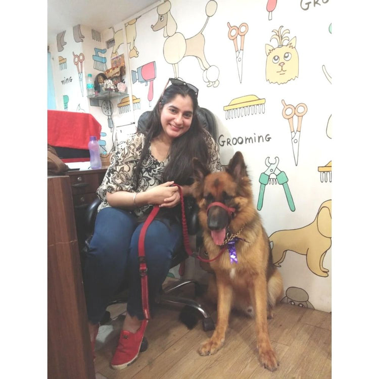 Furry Friends Pet Grooming Salon Groomer Mumbai