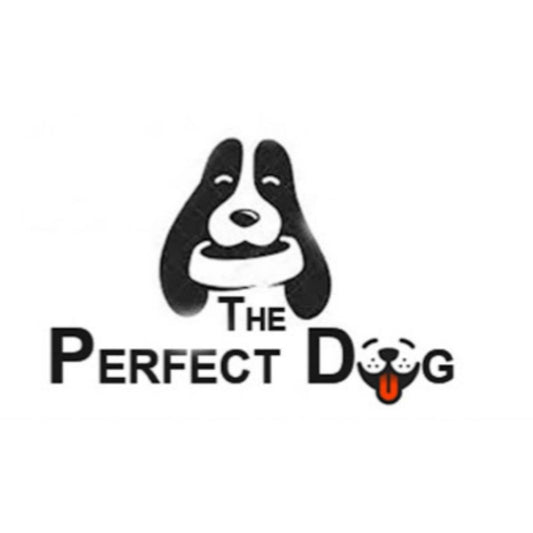 The Perfect Dog Trainer Mumbai