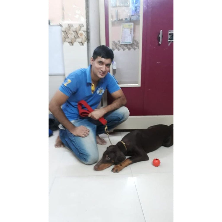K9 Pack Leader Trainer Mumbai