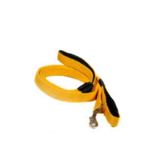 Wicked Guy Dog Combo Kit