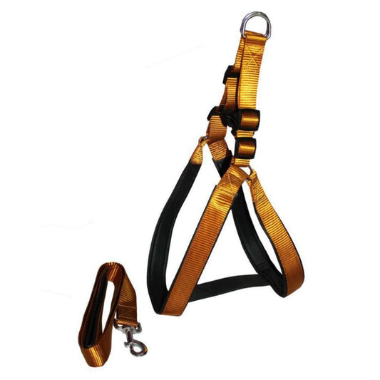 Smarty Pet Nylon Padded Dog Leash & Harness Set