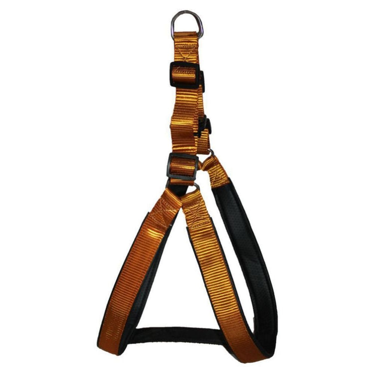 Smarty Pet Nylon Padded Dog Leash & Harness Set