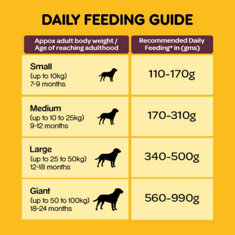 Pedigree Meat And Rice Adult Dog Food