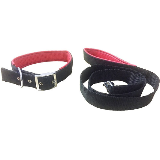 Smarty Pet Nylon Padded Dog Collar & Leash Set