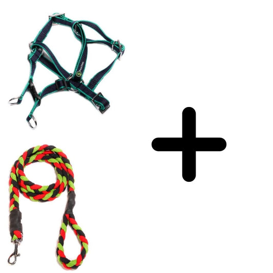 Poochles Harness & Leash Combo Kit