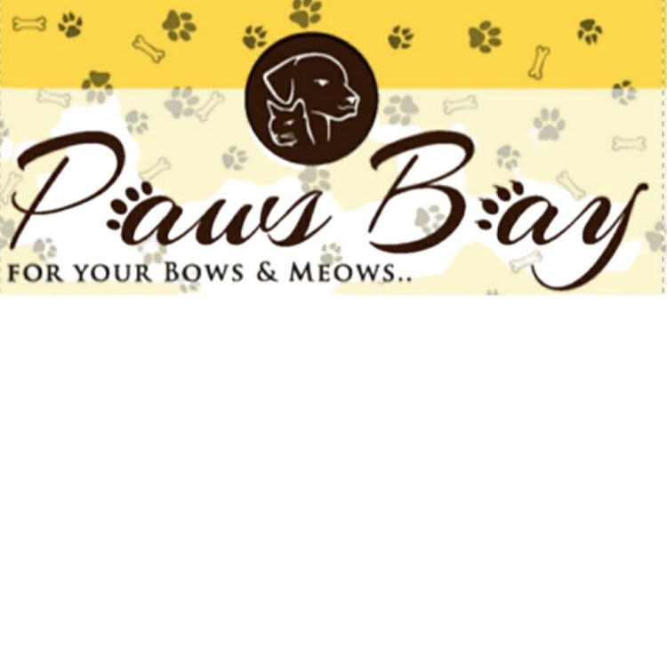 Pawsbay Mobile Pet Grooming Studio Adyar chennai