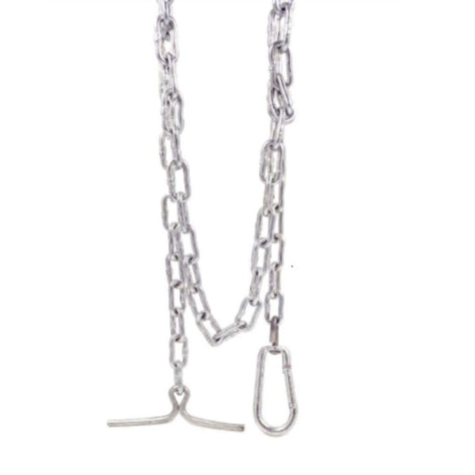 Smarty Pet Long Link Chain Dog Leash