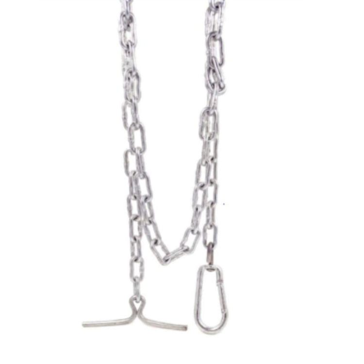 Smarty Pet Long Link Chain Dog Leash