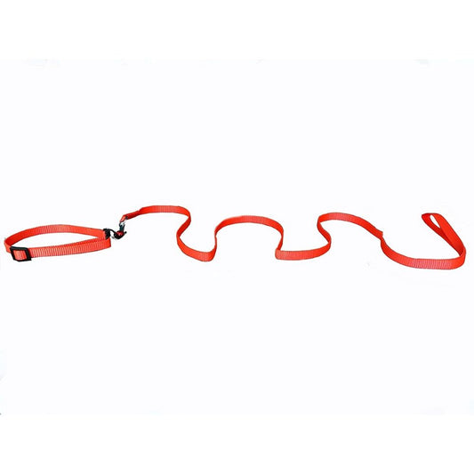 Smarty Pet Royal Nylon Dog Leash and Collar Set