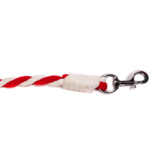 Poochles Dog Braided Dual Shade 10 Feet Body Leash