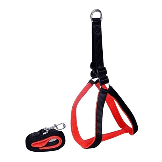 Smarty Pet Nylon Padded Dog Leash & Harness Set