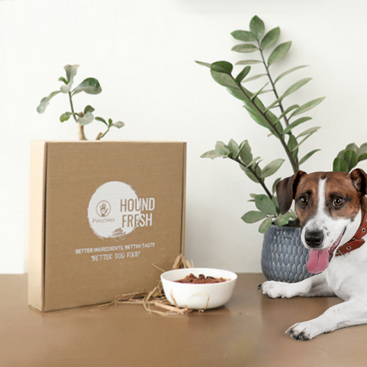 Poochles Houndfresh Dog Food