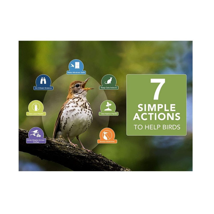 Organic Bird Nest For Small Birds