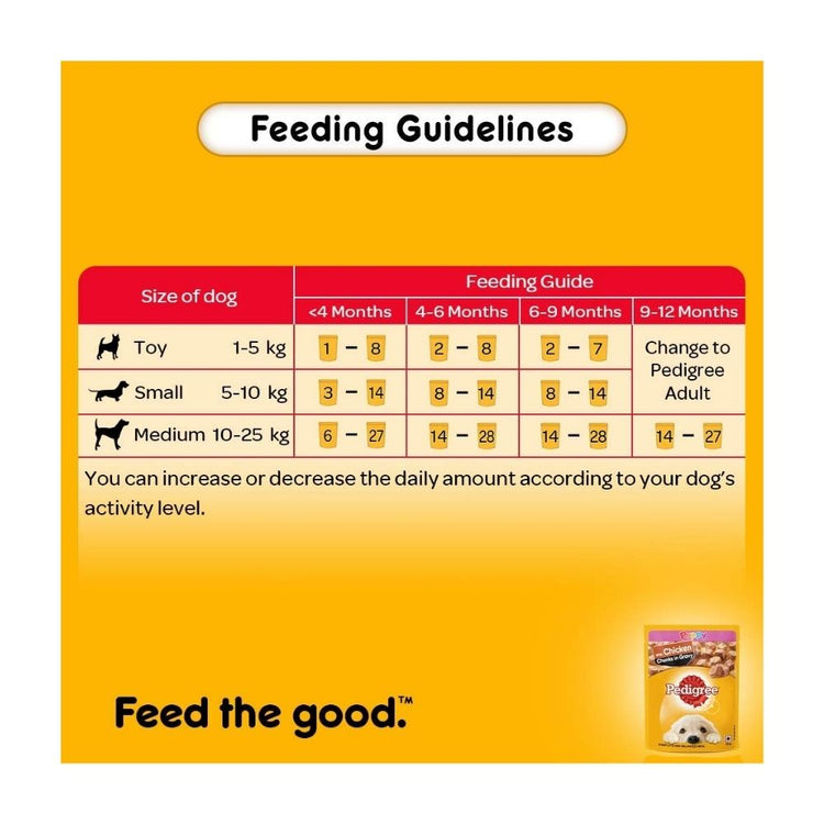 Pedigree Puppy Wet Dog Food, Chicken Chunks in Gravy, 70 g (Pack of 15)