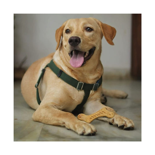 Woodplay Bone Durable Dog Chew Toy, Brown | for Small - Medium Dogs (5-20kgs)