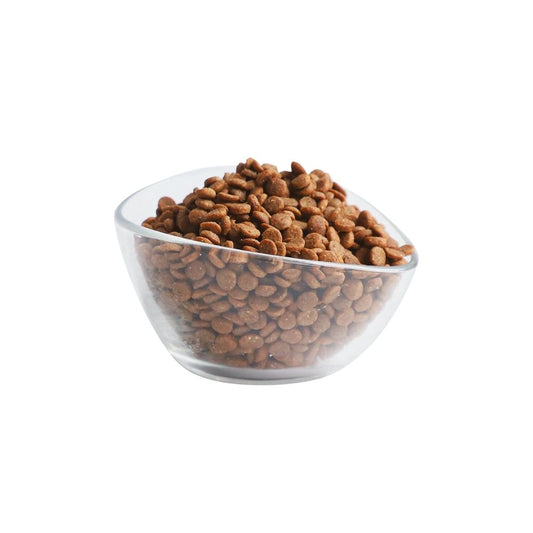 Kit Cat Classic Chicken Premium Adult Dry Cat Food