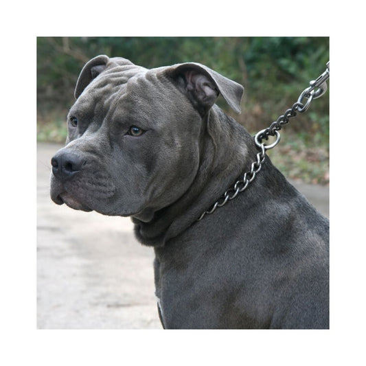 Kennel Mild Steel Revolving Dog Choke Chain For All Dogs - 3mm