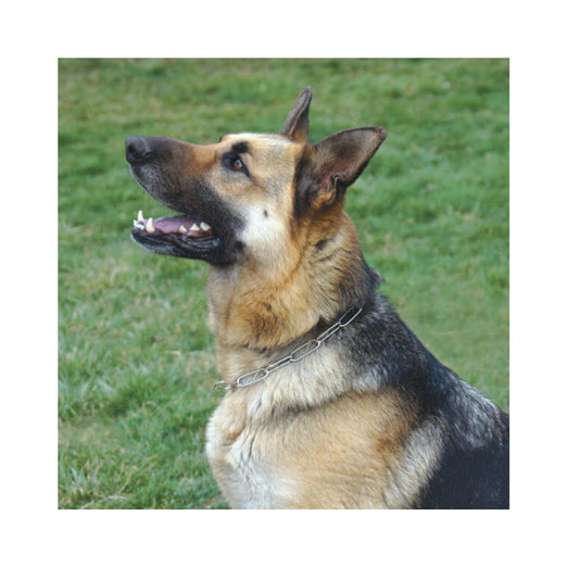 Kennel Mild Steel G.S.D Dog Choke Chain