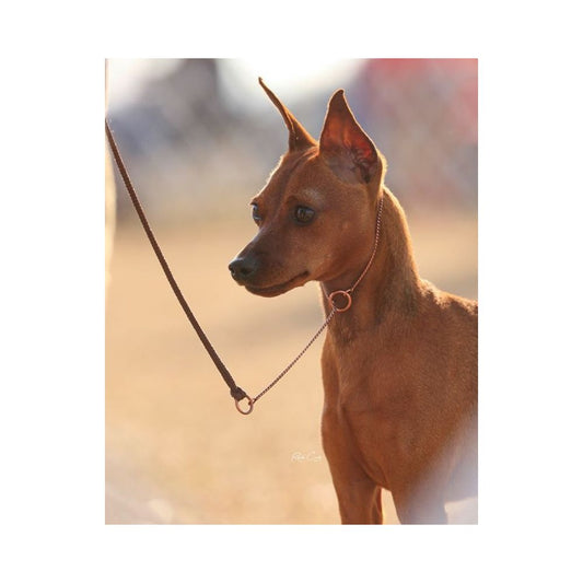 Kennel Bronze Snake Thin Dog Choke Chain - 26 " Length