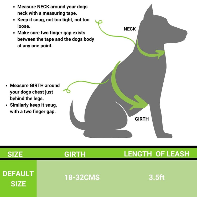 Poochles Premium Cushion Dog Leash & Harness Set