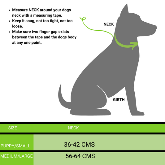 Poochles Nylon Chained Dog Collar