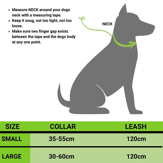 "Jingle All The Way" Collar And Leash Combo For All Dogs