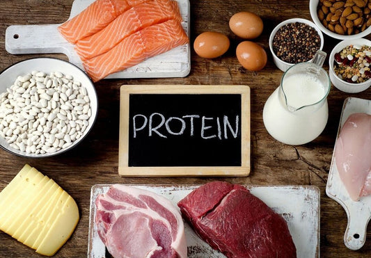 Why Your Dog Needs Protein? - Benefits & Best Sources Of Protein For Dogs