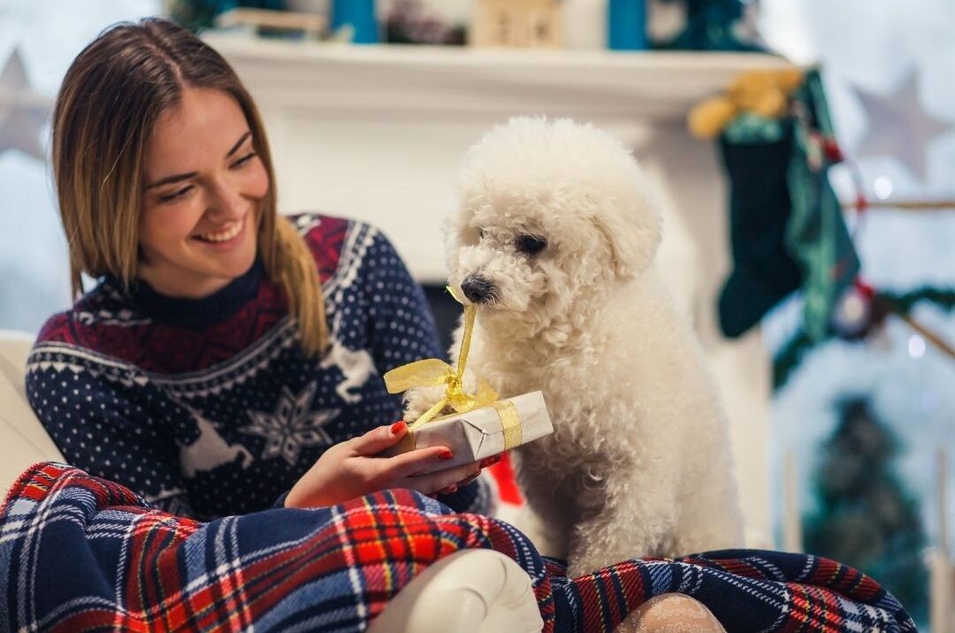 How To Celebrate A Pet-Friendly Christmas - Safety Tips For Pet Parents