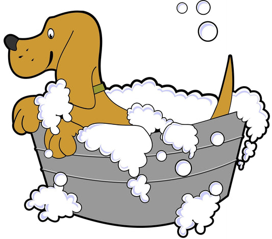 Dog Grooming: How To Groom Your Dog And Give Bath? | Poochles India
